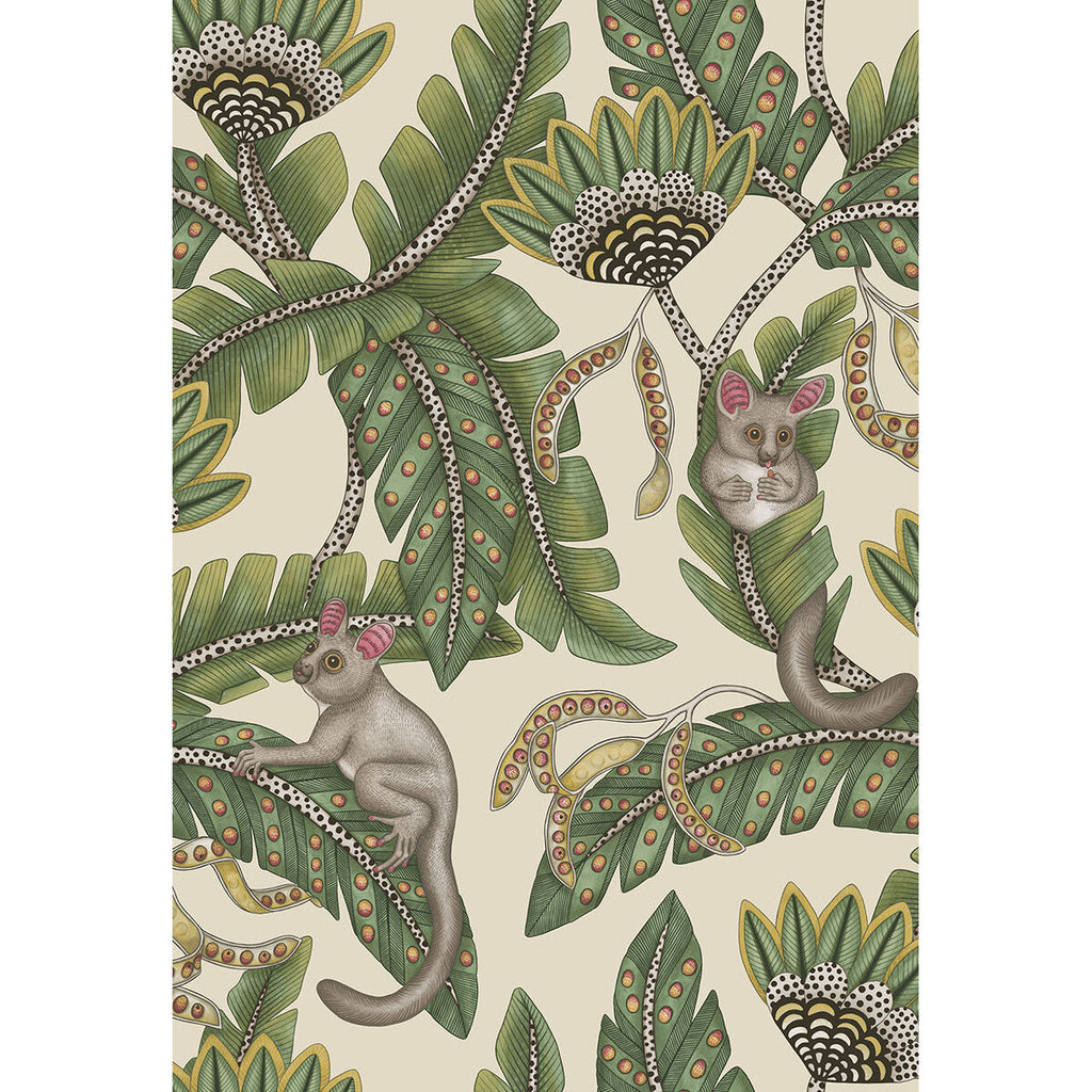 Bush Baby - Sge&Chrt/Prchmnt Green By Cole & Son | Cole & Son Ardmore-Jabula |Animal/Insects Botanical & Floral Wallcovering Print