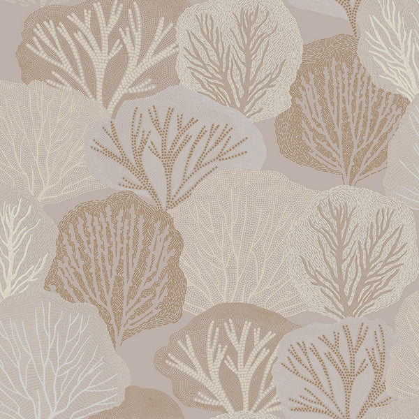 Warm | Graham & Brown