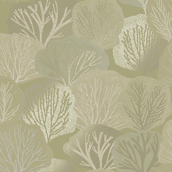 Sage | Graham & Brown