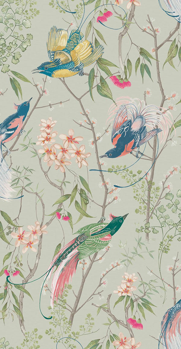 Birds Morning Sage | Graham & Brown