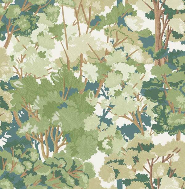 Tree Sage | Graham & Brown