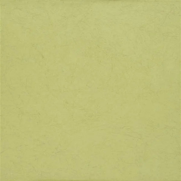 Ernani Plain 55 Moss Wallpaper | Designers Guild Europe