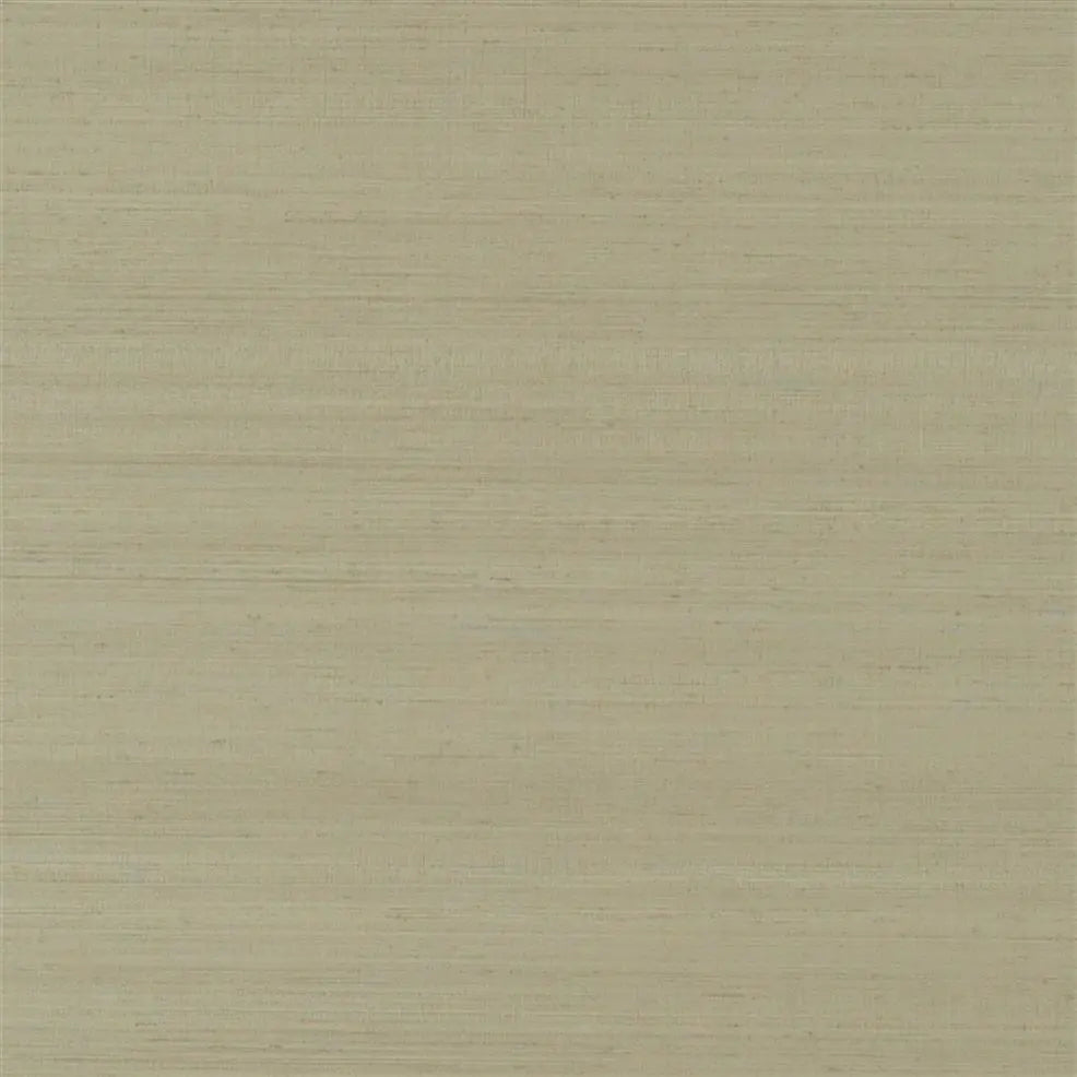 Chinon Birch Wallpaper | Designers Guild Europe