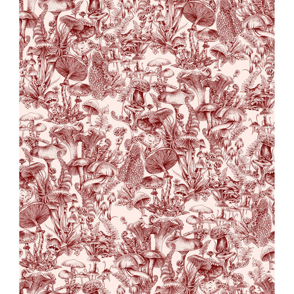 Fungi Forest - Burgundy Burgundy/Red By Cole & Son | Stella Mccartney X Cole & Son |Botanical & Floral  Wallcovering Print