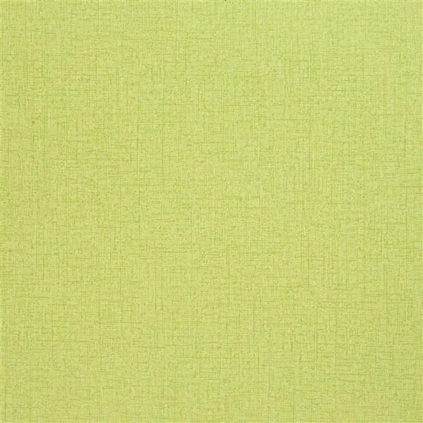 Tsuga Textured Acacia Yellow  Wallpaper | Designers Guild Europe