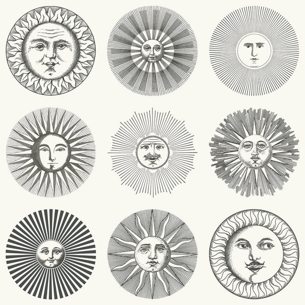 Soli - Black & White Black | Cole & Son