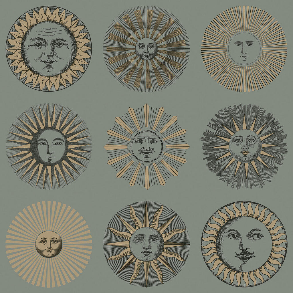 Soli - Sage & Rose Gold Sage By Cole & Son | Cole & Son Fornasetti Senza Tempo Ii |Metallic Novelty Wallcovering Print
