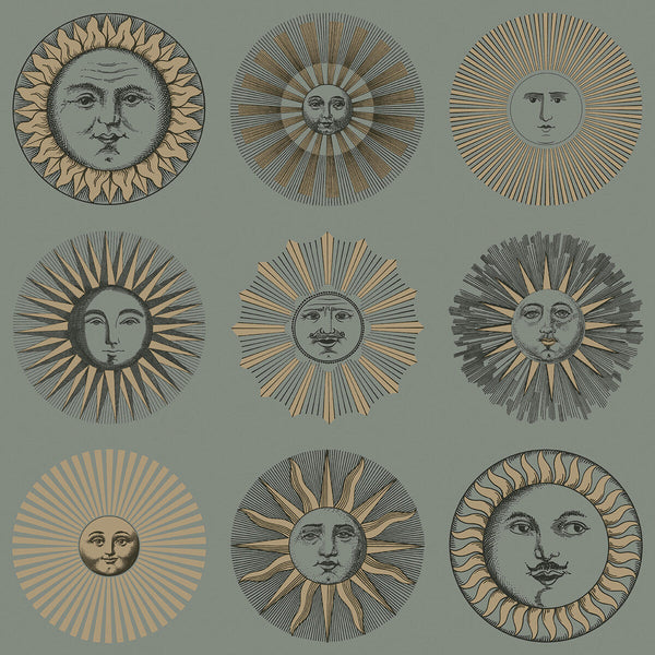 Soli - Sage & Rose Gold Sage By Cole & Son | Cole & Son Fornasetti Senza Tempo Ii |Metallic Novelty Wallcovering Print