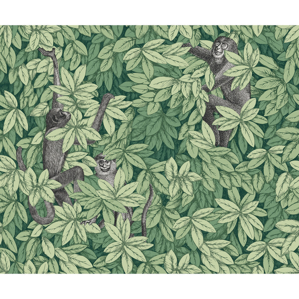 Foglie E Scimmie - Green Green By Cole & Son | Cole & Son Fornasetti Senza Tempo Ii |Animal/Insects Botanical & Floral Wallcovering Print