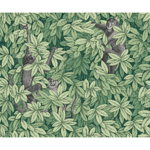 Foglie E Scimmie - Green Green By Cole & Son | Cole & Son Fornasetti Senza Tempo Ii |Animal/Insects Botanical & Floral Wallcovering Print