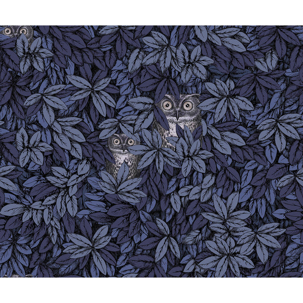 Foglie E Civette - Midnight Dark Blue By Cole & Son | Cole & Son Fornasetti Senza Tempo Ii |Animal/Insects Botanical & Floral Wallcovering Print