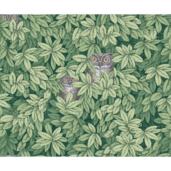 Foglie E Civette - Green | Cole & Son