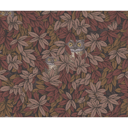 Foglie E Civette - Autumnal Brown | Cole & Son