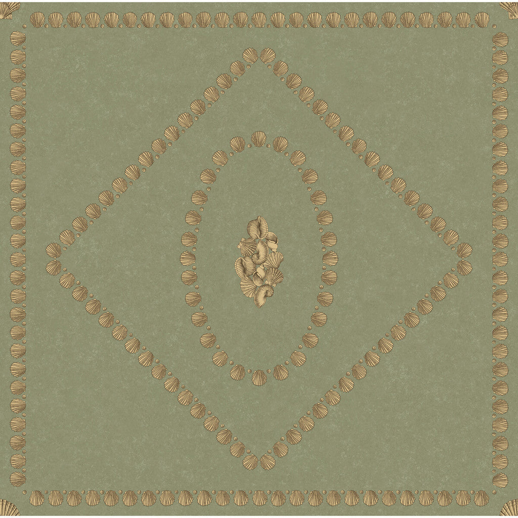Conchiglie - Ivy Green By Cole & Son | Cole & Son Fornasetti Senza Tempo Ii |Geometric Novelty Wallcovering Print