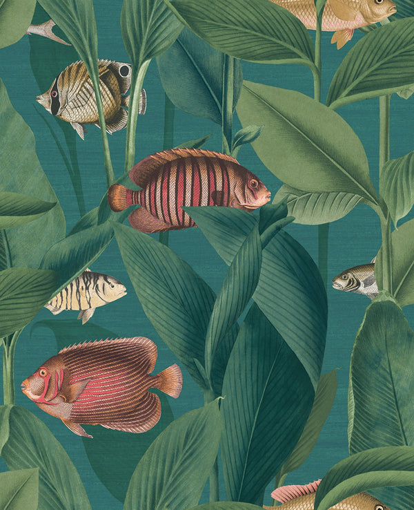 Teal | Graham & Brown