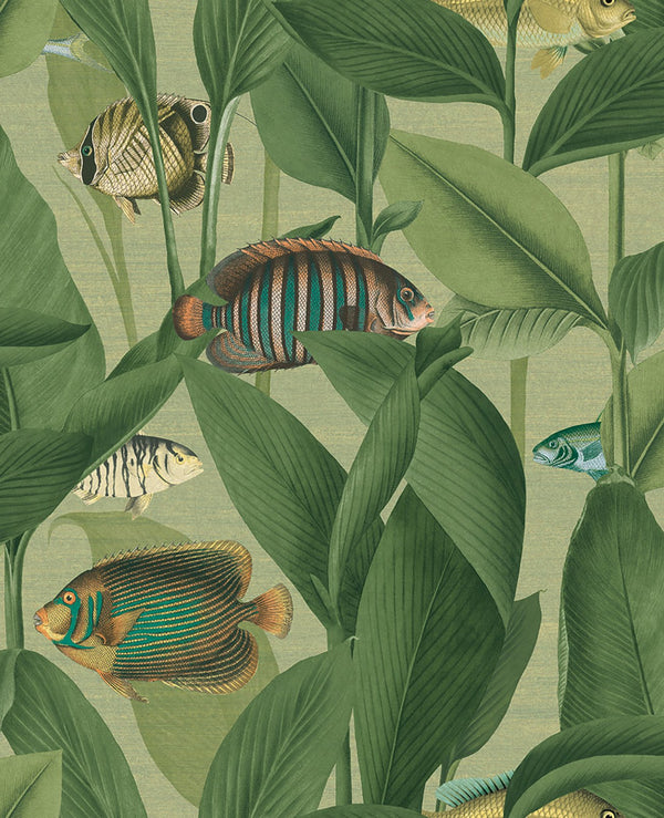 Green | Graham & Brown