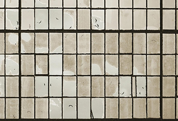 Rigato Windows | Coordone Europe