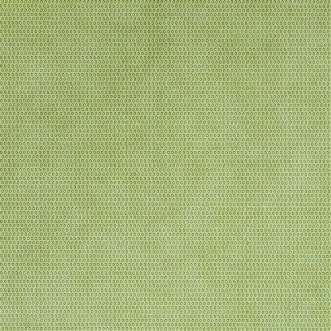 Iribe Tiny oval rings  Pistachio Green  Wallpaper | Designers Guild Europe