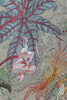 Xl Jungle Panels: Baccalis