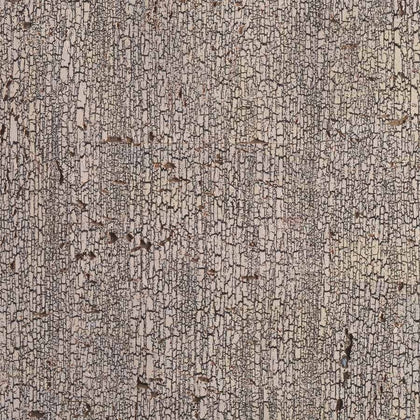 Scorched - Birch Rind