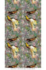Xl Jungle Panels: Papua Paradise