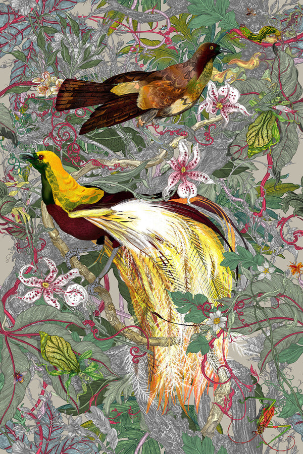 Xl Jungle Panels: Papua Paradise | Timorous Beasties Wallcovering