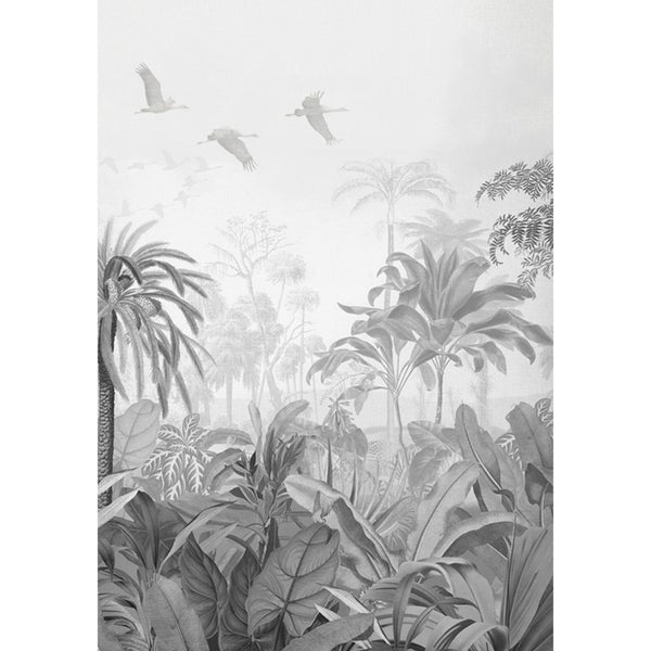 Jungle Mono Wall | Graham & Brown