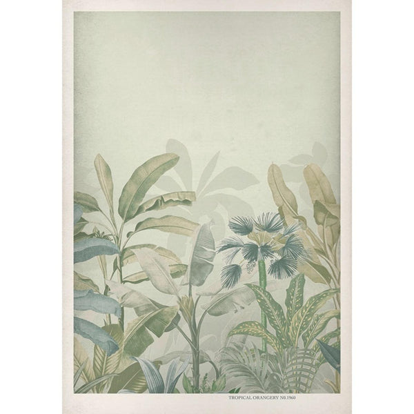 Sage Wall | Graham & Brown