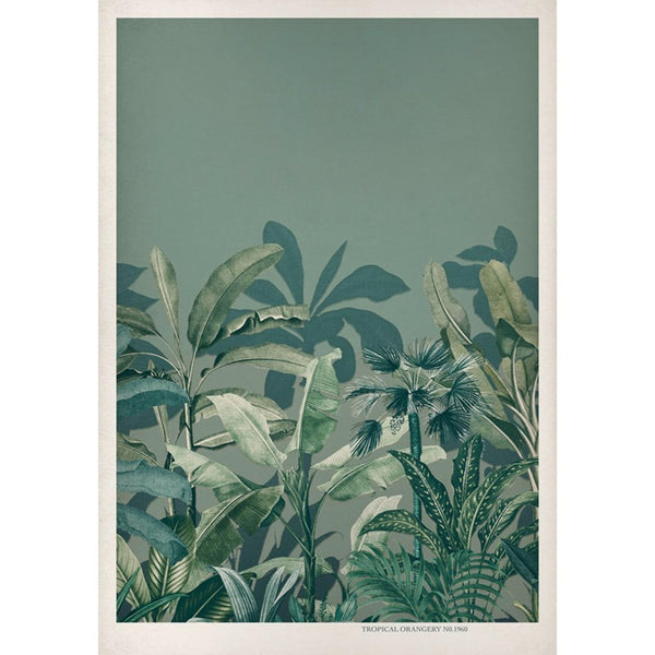 Green Wall | Graham & Brown