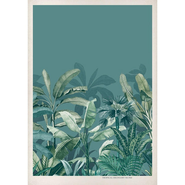 Teal Wall | Graham & Brown