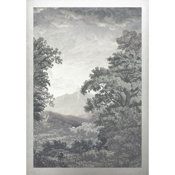 Forest Sage Wall | Graham & Brown