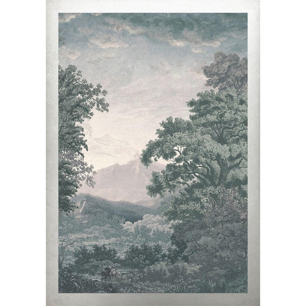 Forest Green Wall | Graham & Brown