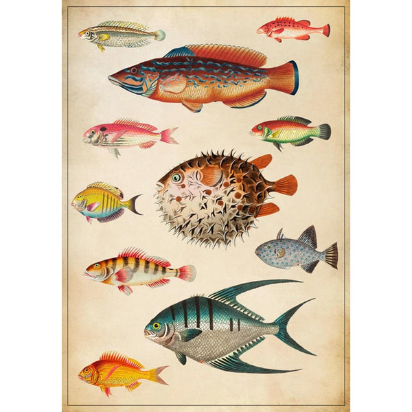 Of Thoughts Multicolor Wall | Graham & Brown