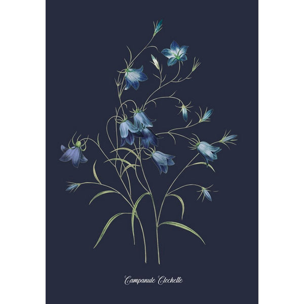 Bluebell Blue Wall | Graham & Brown