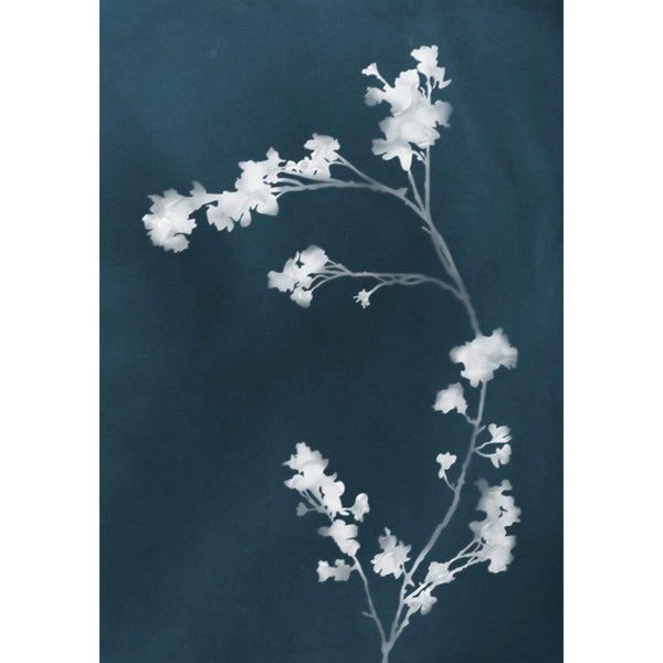 Press Blue Wall | Graham & Brown