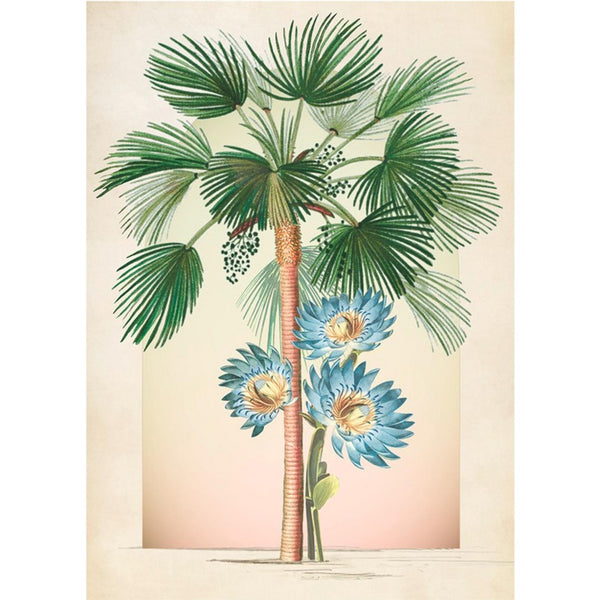 Jungle Lush Green Multicolor Wall | Graham & Brown