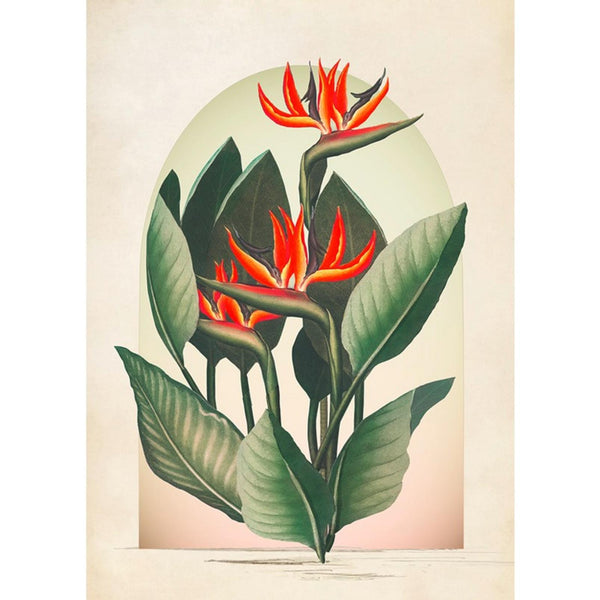 Jungle Exotic Floral Multicolor Wall | Graham & Brown