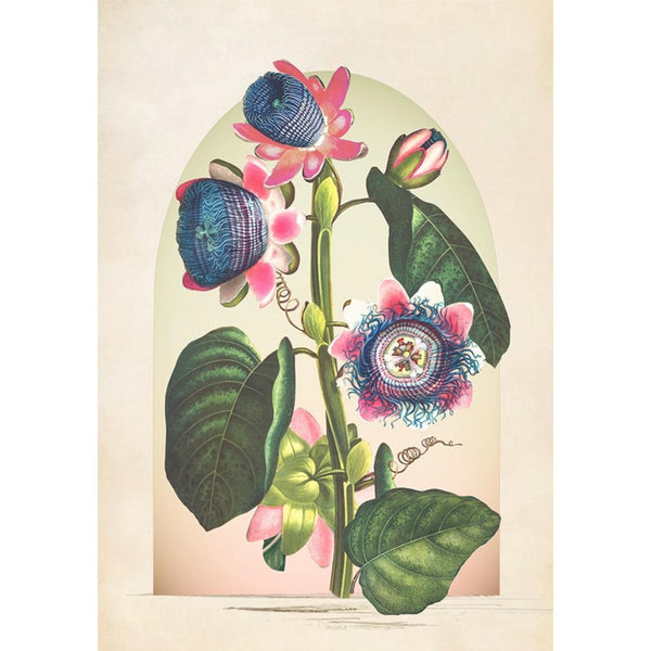 Jungle Bloom Multicolor Wall | Graham & Brown