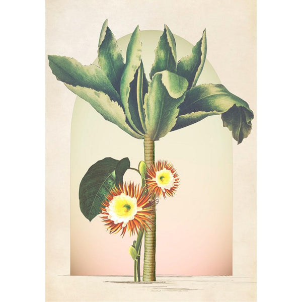 Jungle Tree Multicolor Wall | Graham & Brown