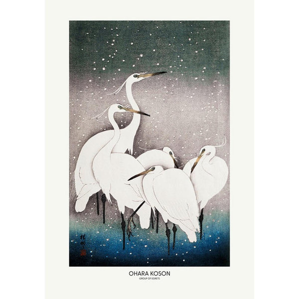 Of Egrets Multicolor Wall | Graham & Brown