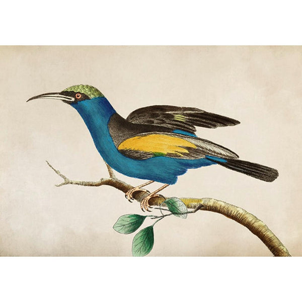 For Flight Blue Wall | Graham & Brown