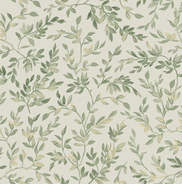 Leaf Sage | Graham & Brown
