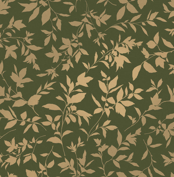Forest | Graham & Brown