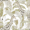 Safari Gentile White