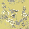 Rosemore Yellow