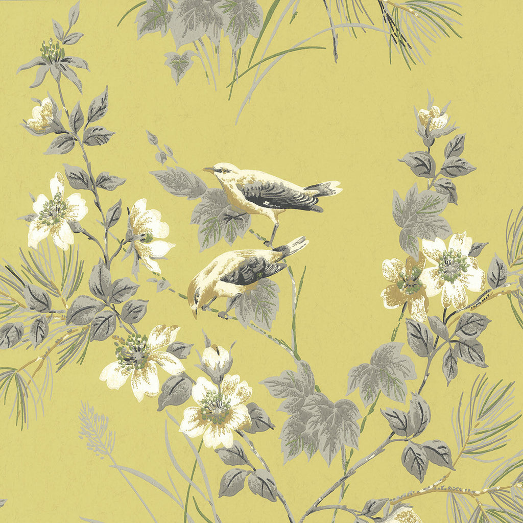 Rosemore Yellow