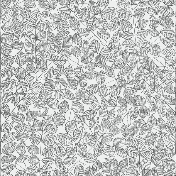 Romans, Black Wallcoverings | Schumacher