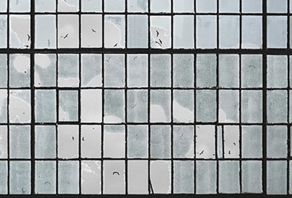 Rigato Windows | Coordone Europe