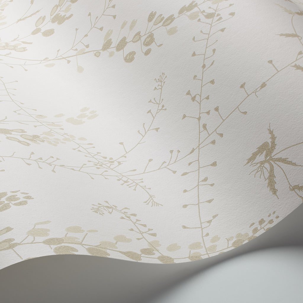 Bladranker Natural Room Setting | Schumacher Wallpaper