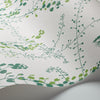 Bladranker Leaf Room Setting | Schumacher Wallpaper